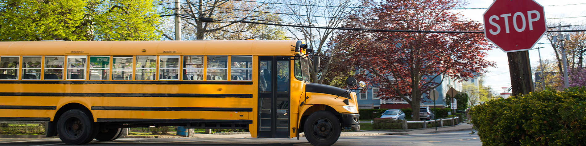 <p class="slider-title">Register Now for Yellow School Bus Service</p><div class="banner-line"></div><p class="slider-subtitle">Families must register by June 16 to be added to routes of the start of the next school year.</p> <a style="pointer-events:all" class=AEBannerMoreLink href="https://cbe.ab.ca/news-centre/Pages/register-now-for-yellow-school-bus-service.aspx">Read More</a>