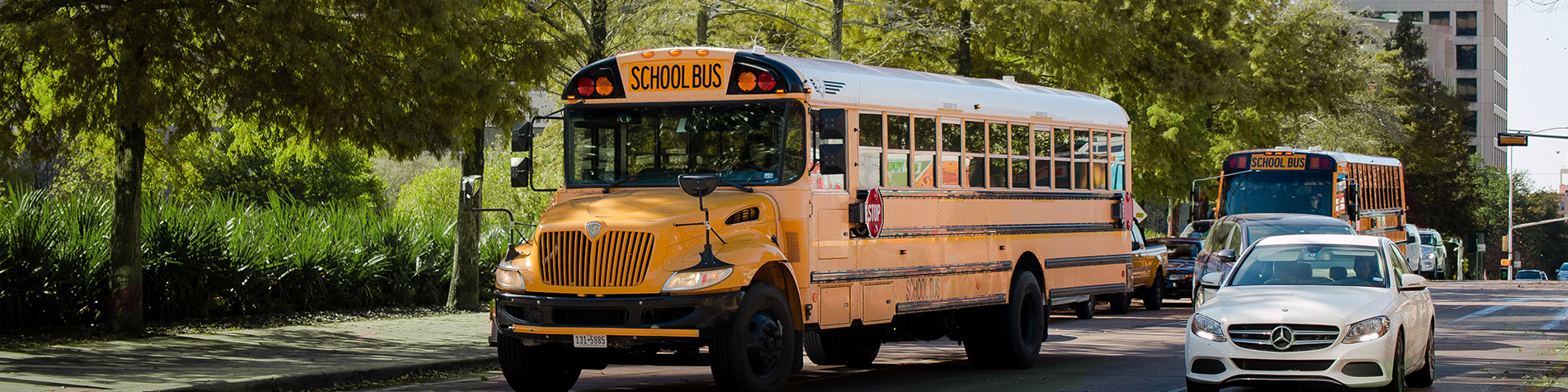 <p class="slider-title">2023-24 Transportation Service Levels and Fees | Apply by June 11</p><div class="banner-line"></div><p class="slider-subtitle">Families must register by June 11 to be  to routes of the start of the next school year.</p> <a style="pointer-events:all" class=AEBannerMoreLink href="https://cbe.ab.ca/news-centre/Pages/2023-24-transportation-service-levels-and-fees.aspx">Read More</a>