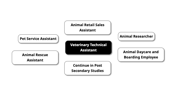 Career Map