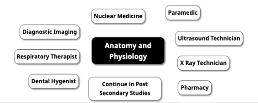 Career Map