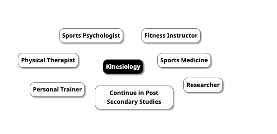 Career Map