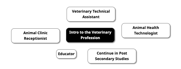 Career Map